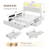 BTHFST Queen Size Bed Frame with 6 Storage Drawers, photograph 2 of 8 published for this piece